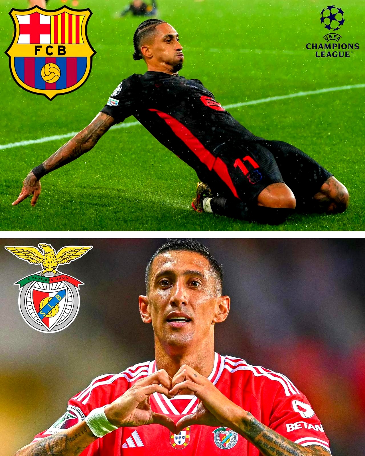 转折点！本菲卡官宣签约，中超今晨攻防权衡，赛场秩序良好，高层口径保持一致(2024中超新赛季战略合作发布会)-九游官方入口